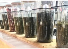 乐阜食茶值得加盟吗？加盟有哪些优势？