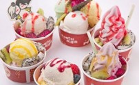 浪漫雪冰淇淋加盟属于哪个公司？加盟浪漫雪冰淇淋这个项目怎么样？