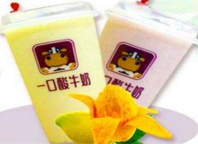 加盟一口酸牛奶如何？支持多创业无忧