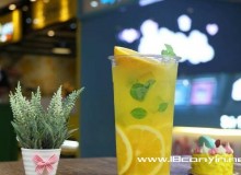 开茶派果语加盟店都能获得什么政策？