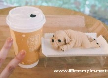 麦里的茶品牌有什么优势？麦里的茶加盟费贵吗？