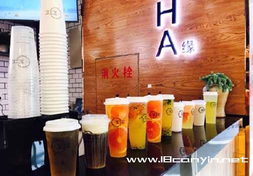 觅茶缘加盟条件有哪些?
