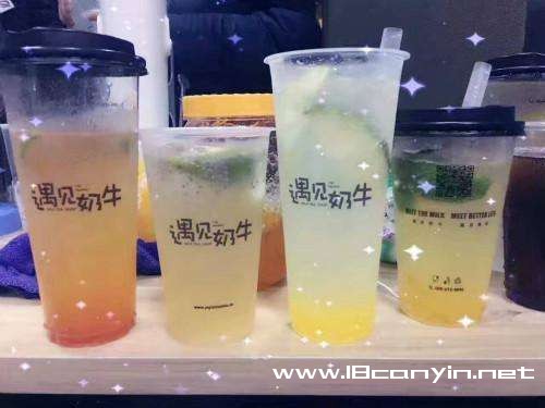 遇见奶牛加盟