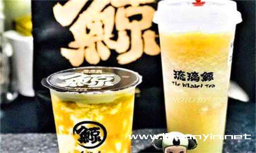 琉璃鲸加盟优势