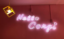 hello corgi柯基馆