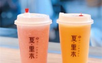 夏里木奶茶加盟利润大吗？夏里木奶茶怎么加盟？