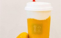 雪季的茶加盟费多少？雪季的茶加盟利润大吗？