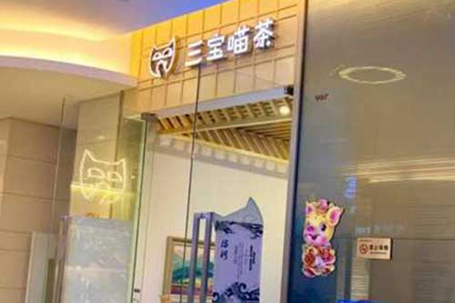 加盟三宝喵茶怎么样？真比自己开店好吗？