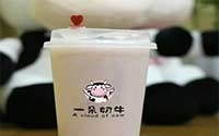 一朵奶牛酸奶饮品加盟费多少？一朵奶牛酸奶冰激凌好吃吗？