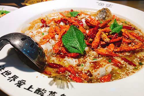 鱼徒酸菜鱼加盟利润大吗？鱼徒酸菜鱼怎么加盟？