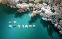 沁茶加盟费用是多少？加盟费有点儿“小贵”
