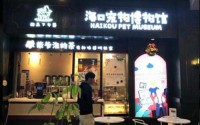 柴爷泡的茶加盟费多少？多种投资模式费用不同，让你灵活创业