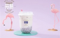芬萃奶茶加盟费多少？投资10万，一年赚回一倍多！