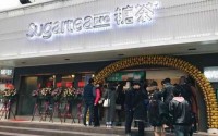 糖茶加盟费多少？糖茶加盟利润大吗？