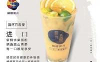 椿檬夏开加盟多少钱？椿檬夏开加盟费多少？