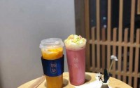鹊茶一年能赚多少？竟然可以赚到100万