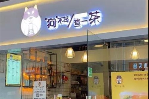 狗不苟查一茶加盟费多少钱？10万起投，创业就要选好项目