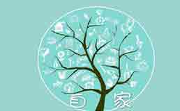 the family自家排行2