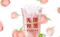 穷十三柠檬茶加盟赚钱吗？穷十三柠檬茶加盟费是多少？