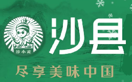 沙小龙