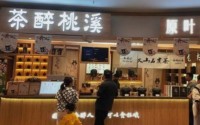 加盟茶醉桃溪手把手教你开店，带你成功