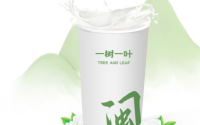 一树一叶加盟费用多少？有哪些品牌优势？