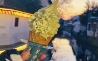 茉香枕河加盟费用多少？有哪些品牌优势？
