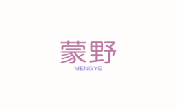 蒙野湖畔露营烤吧
