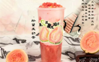 秦王茶悦项目合适加盟么？加盟费贵吗？