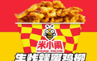 米小闹加盟怎么样？实力项目优势显著