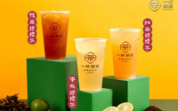 一杯潮茶在哪可以加盟？有什么加盟条件？