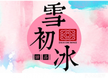 雪初冰怎么样？适合新手加盟吗？