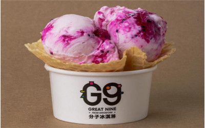 G9分子冰淇淋加盟费